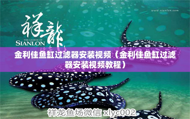 金利佳魚缸過濾器安裝視頻（金利佳魚缸過濾器安裝視頻教程）