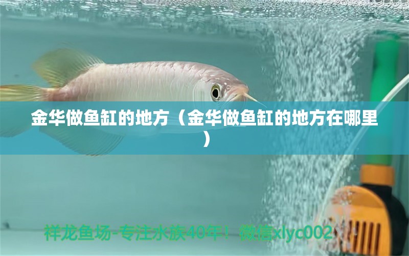 金華做魚(yú)缸的地方（金華做魚(yú)缸的地方在哪里） 觀賞魚(yú)市場(chǎng)（混養(yǎng)魚(yú)）