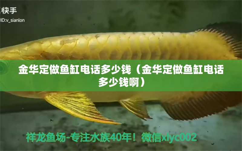 金華定做魚缸電話多少錢（金華定做魚缸電話多少錢?。?狗仔（招財(cái)貓)魚苗