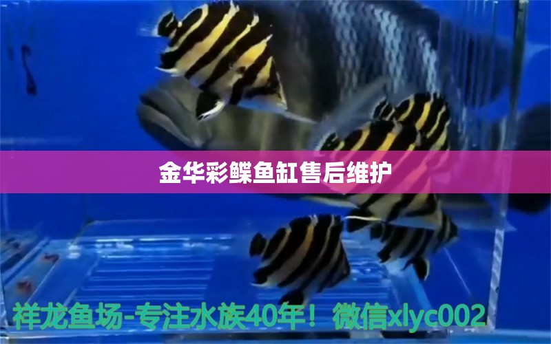 金華彩鰈魚缸售后維護(hù)