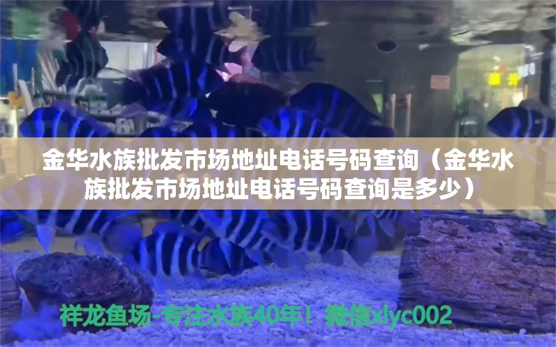 金華水族批發(fā)市場(chǎng)地址電話號(hào)碼查詢（金華水族批發(fā)市場(chǎng)地址電話號(hào)碼查詢是多少） 觀賞魚水族批發(fā)市場(chǎng)