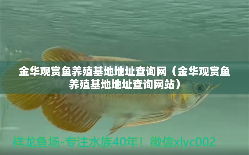 金華觀賞魚養(yǎng)殖基地地址查詢網(wǎng)（金華觀賞魚養(yǎng)殖基地地址查詢網(wǎng)站）