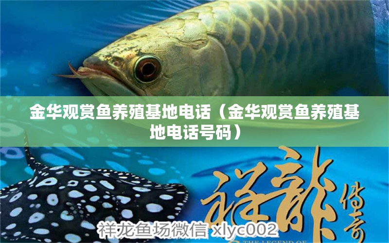 金華觀賞魚養(yǎng)殖基地電話（金華觀賞魚養(yǎng)殖基地電話號碼）