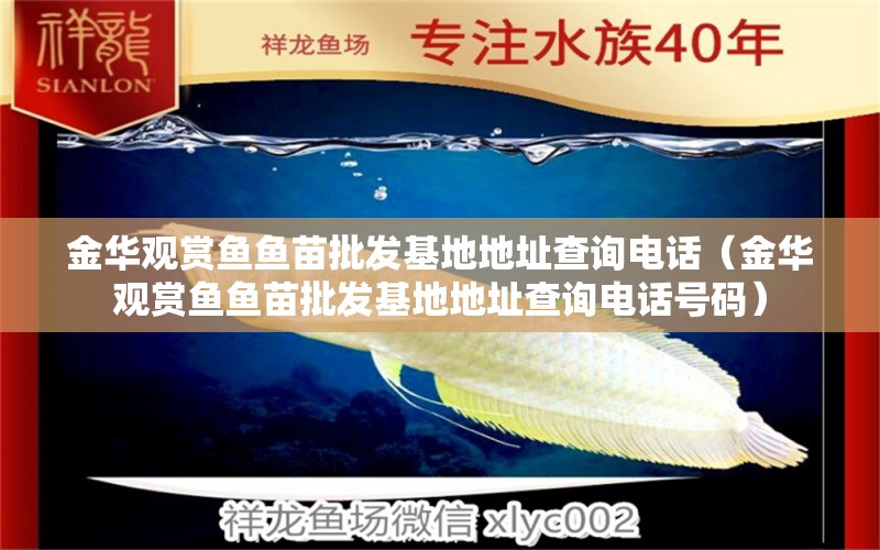 金華觀賞魚魚苗批發(fā)基地地址查詢電話（金華觀賞魚魚苗批發(fā)基地地址查詢電話號碼）