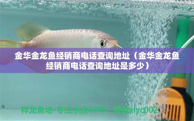 金華金龍魚經(jīng)銷商電話查詢地址（金華金龍魚經(jīng)銷商電話查詢地址是多少） 祥龍水族醫(yī)院