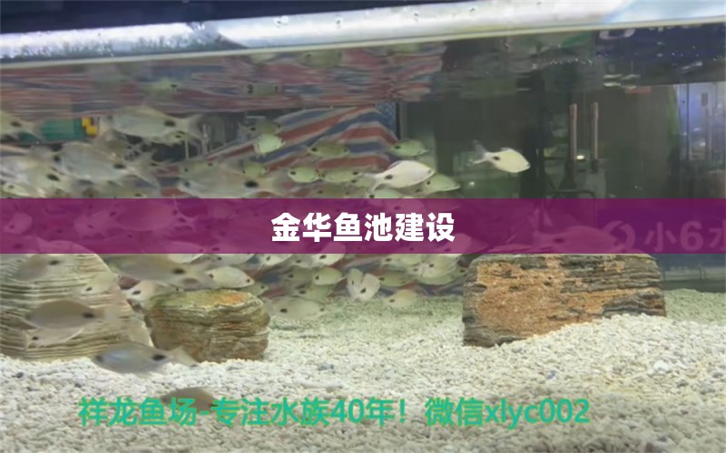 金華魚池建設(shè) 錦鯉池魚池建設(shè)