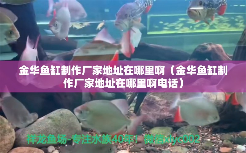 金華魚缸制作廠家地址在哪里?。ń鹑A魚缸制作廠家地址在哪里啊電話）