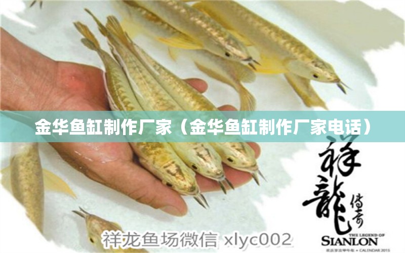 金華魚缸制作廠家（金華魚缸制作廠家電話）