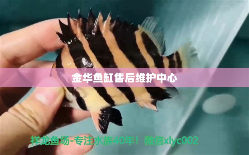 金華魚缸售后維護中心