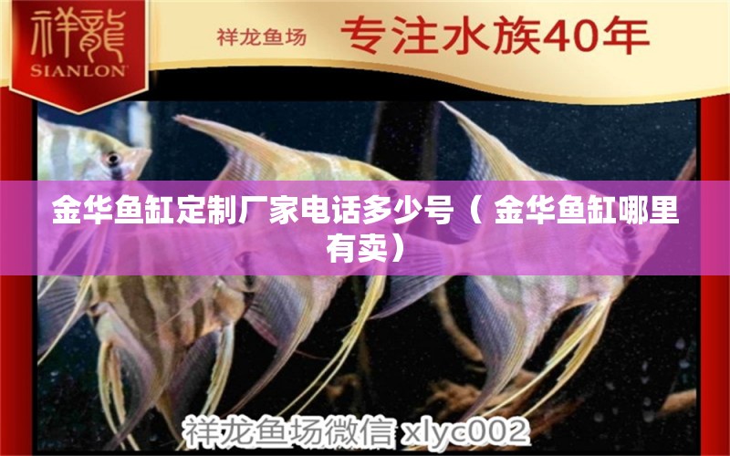 金華魚缸定制廠家電話多少號(hào)（ 金華魚缸哪里有賣） 金龍福龍魚 第1張