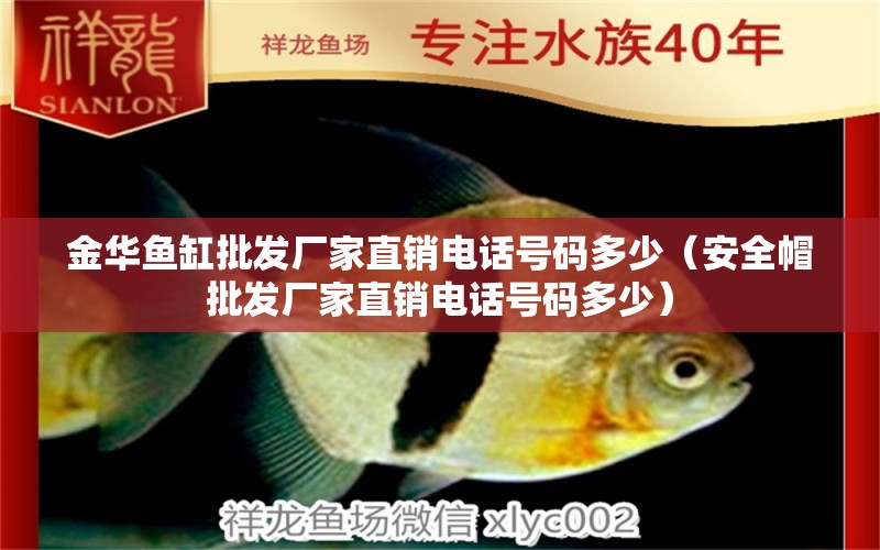 金華魚缸批發(fā)廠家直銷電話號碼多少（安全帽批發(fā)廠家直銷電話號碼多少） 祥龍魚場其他產(chǎn)品