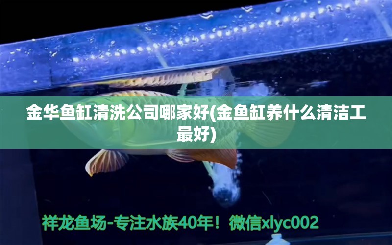 金華魚缸清洗公司哪家好(金魚缸養(yǎng)什么清潔工最好)