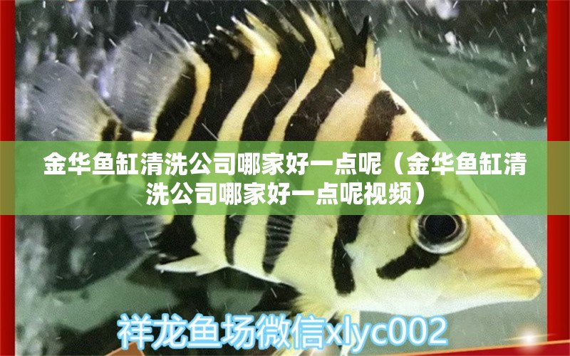 金華魚缸清洗公司哪家好一點(diǎn)呢（金華魚缸清洗公司哪家好一點(diǎn)呢視頻）