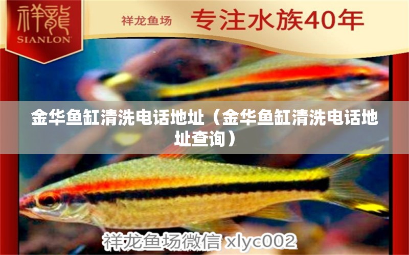 金華魚缸清洗電話地址（金華魚缸清洗電話地址查詢） 祥龍水族醫(yī)院