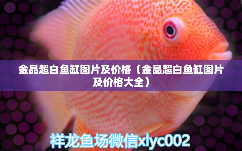 金品超白魚缸圖片及價格（金品超白魚缸圖片及價格大全）