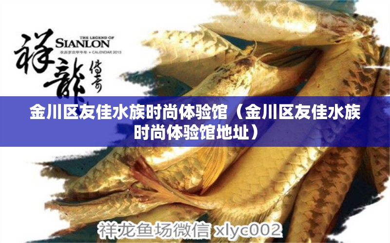 金川區(qū)友佳水族時(shí)尚體驗(yàn)館（金川區(qū)友佳水族時(shí)尚體驗(yàn)館地址）