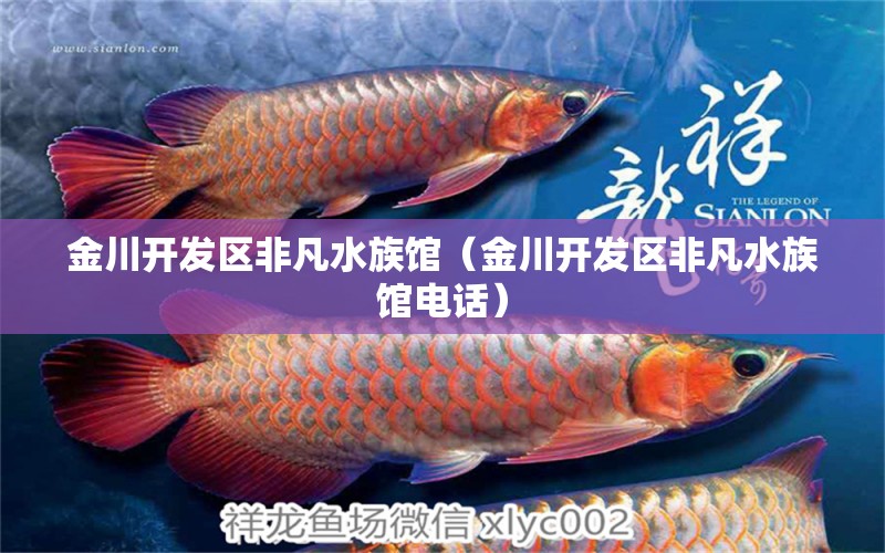 金川開發(fā)區(qū)非凡水族館（金川開發(fā)區(qū)非凡水族館電話） 全國水族館企業(yè)名錄