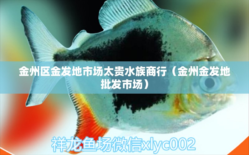 金州區(qū)金發(fā)地市場(chǎng)太貴水族商行（金州金發(fā)地批發(fā)市場(chǎng)）