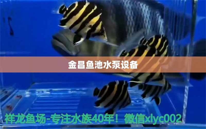 金昌魚池水泵設(shè)備