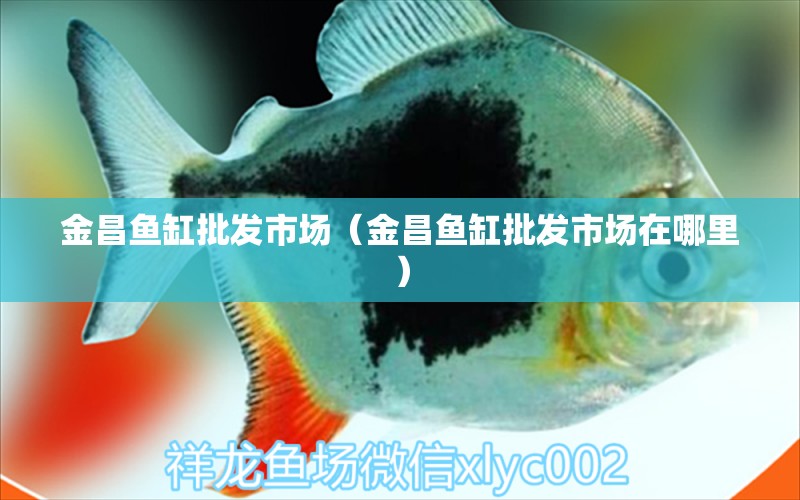 金昌魚(yú)缸批發(fā)市場(chǎng)（金昌魚(yú)缸批發(fā)市場(chǎng)在哪里）