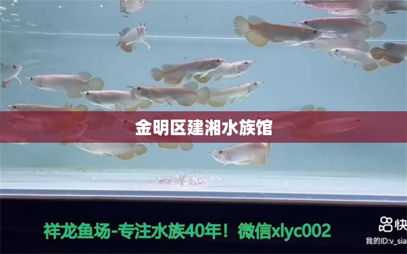 金明區(qū)建湘水族館