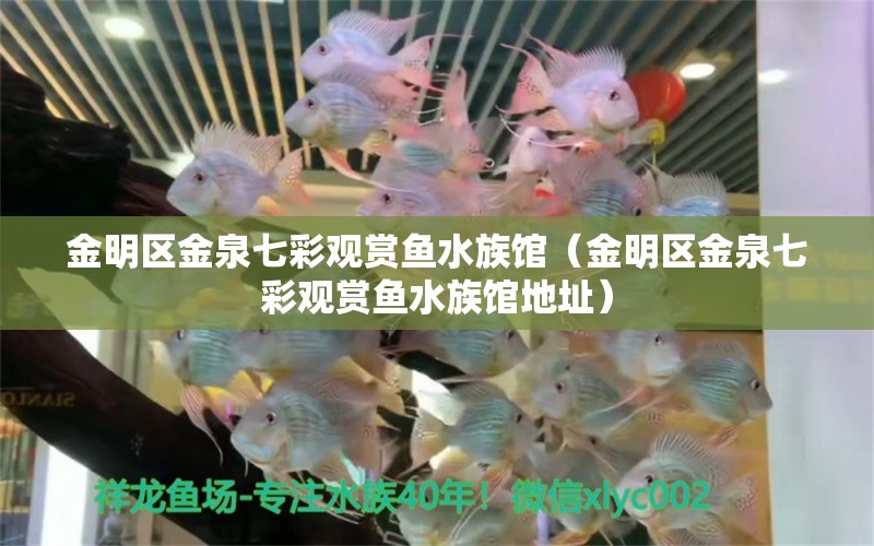 金明區(qū)金泉七彩觀賞魚水族館（金明區(qū)金泉七彩觀賞魚水族館地址）