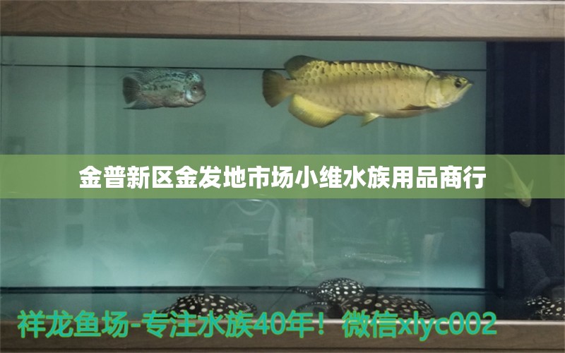 金普新區(qū)金發(fā)地市場(chǎng)小維水族用品商行