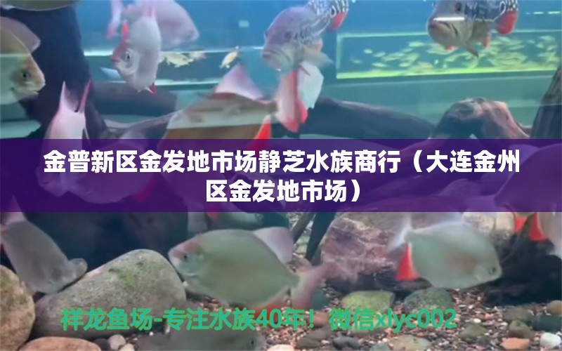 金普新區(qū)金發(fā)地市場靜芝水族商行（大連金州區(qū)金發(fā)地市場） 全國水族館企業(yè)名錄