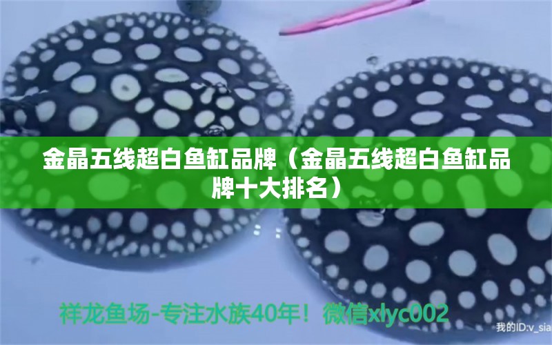 金晶五線超白魚(yú)缸品牌（金晶五線超白魚(yú)缸品牌十大排名）