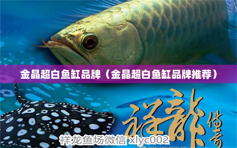 金晶超白魚缸品牌（金晶超白魚缸品牌推薦）