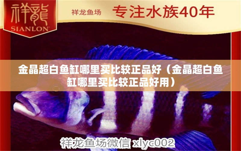 金晶超白魚(yú)缸哪里買(mǎi)比較正品好（金晶超白魚(yú)缸哪里買(mǎi)比較正品好用）