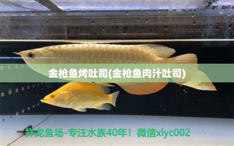 金槍魚(yú)烤吐司(金槍魚(yú)肉汁吐司) 祥龍金禾金龍魚(yú)