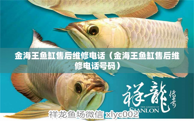 金海王魚缸售后維修電話（金海王魚缸售后維修電話號碼） 祥龍水族醫(yī)院