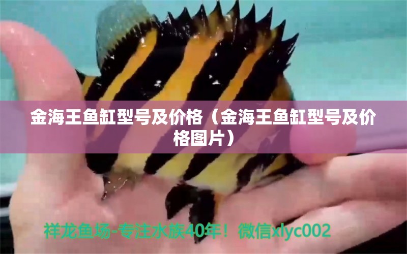 金海王魚缸型號及價(jià)格（金海王魚缸型號及價(jià)格圖片） 量子養(yǎng)魚技術(shù)