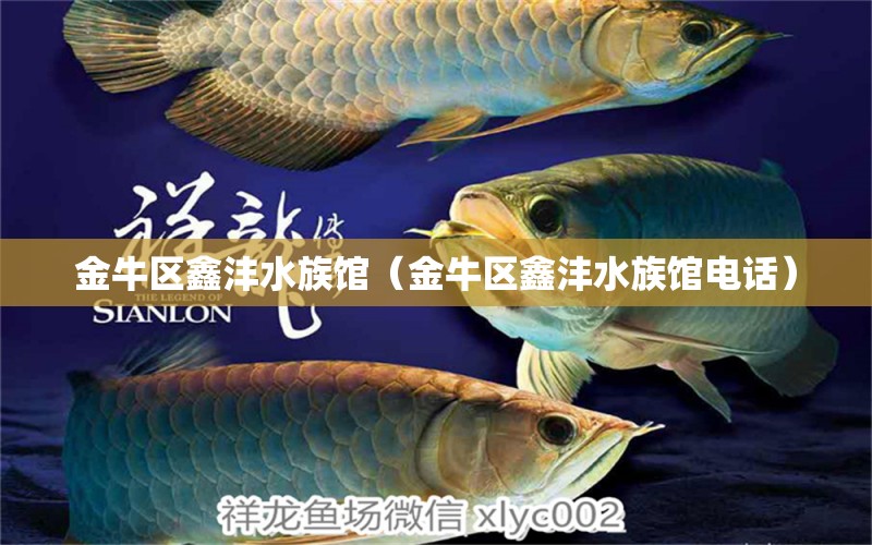 金牛區(qū)鑫灃水族館（金牛區(qū)鑫灃水族館電話） 全國水族館企業(yè)名錄