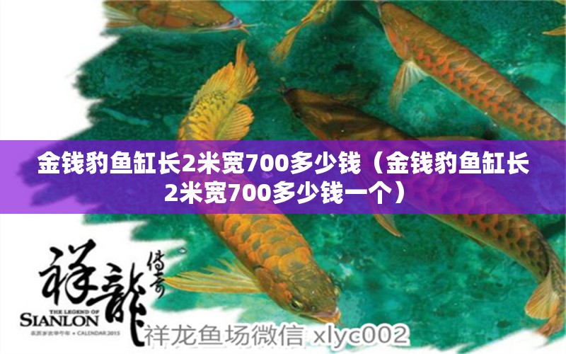 金錢豹魚缸長2米寬700多少錢（金錢豹魚缸長2米寬700多少錢一個）