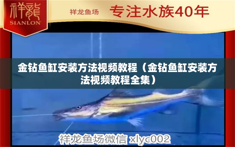 金鉆魚缸安裝方法視頻教程（金鉆魚缸安裝方法視頻教程全集）