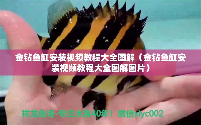 金鉆魚缸安裝視頻教程大全圖解（金鉆魚缸安裝視頻教程大全圖解圖片） 祥龍水族醫(yī)院