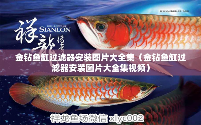 金鉆魚缸過濾器安裝圖片大全集（金鉆魚缸過濾器安裝圖片大全集視頻） 量子養(yǎng)魚技術(shù)