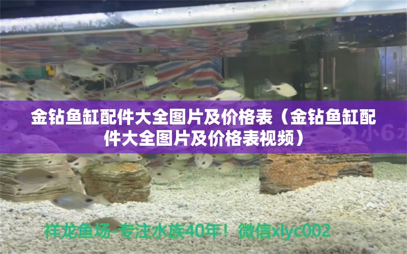 金鉆魚缸配件大全圖片及價(jià)格表（金鉆魚缸配件大全圖片及價(jià)格表視頻） 銀河星鉆魚