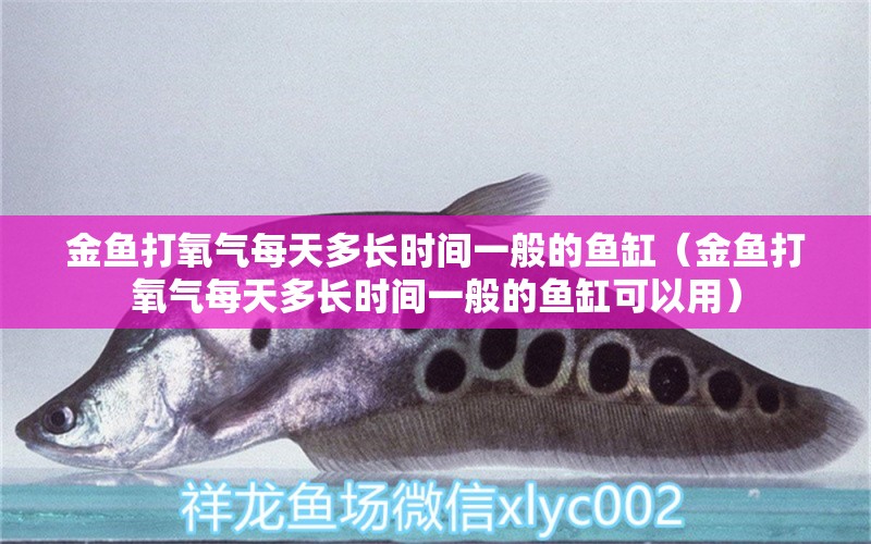 金魚打氧氣每天多長時間一般的魚缸（金魚打氧氣每天多長時間一般的魚缸可以用）