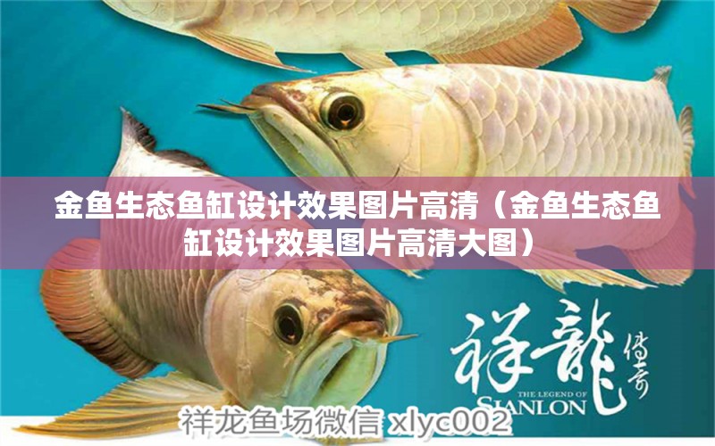 金魚(yú)生態(tài)魚(yú)缸設(shè)計(jì)效果圖片高清（金魚(yú)生態(tài)魚(yú)缸設(shè)計(jì)效果圖片高清大圖）