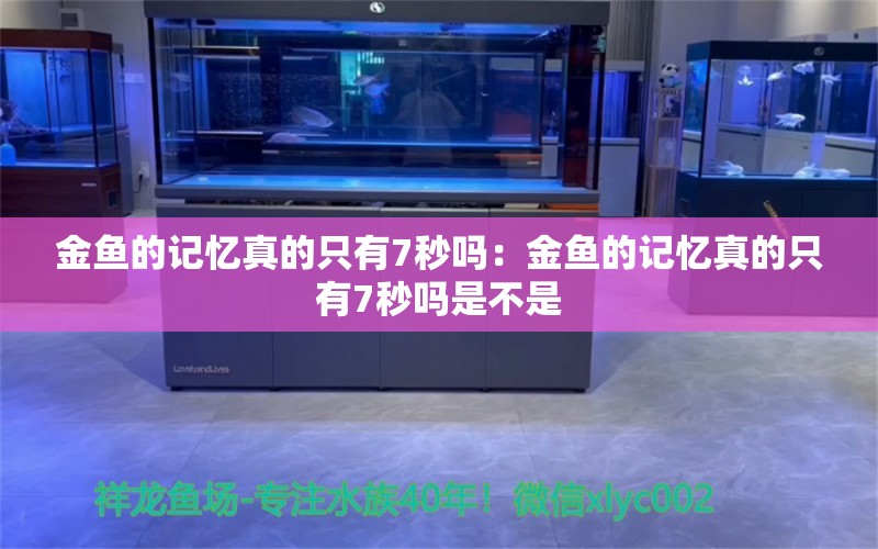 金魚的記憶真的只有7秒嗎：金魚的記憶真的只有7秒嗎是不是 白子球鯊魚