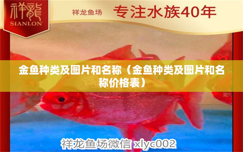 金魚種類及圖片和名稱（金魚種類及圖片和名稱價(jià)格表）