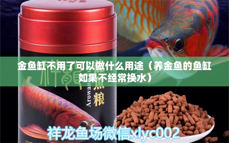 金魚缸不用了可以做什么用途（養(yǎng)金魚的魚缸如果不經(jīng)常換水）