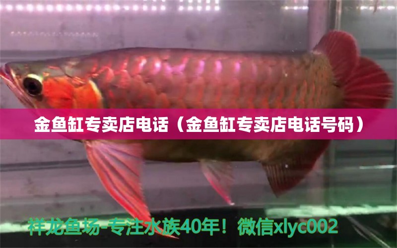 金魚缸專賣店電話（金魚缸專賣店電話號碼） 其他品牌魚缸