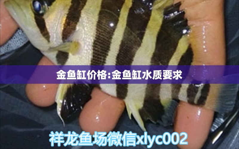 金魚(yú)缸價(jià)格:金魚(yú)缸水質(zhì)要求 龍魚(yú)批發(fā)