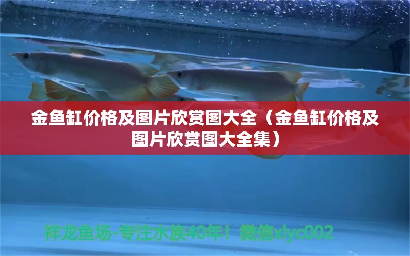 金魚缸價格及圖片欣賞圖大全（金魚缸價格及圖片欣賞圖大全集）