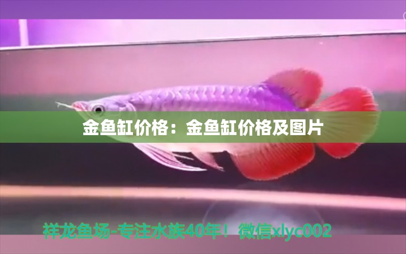 金魚缸價格：金魚缸價格及圖片