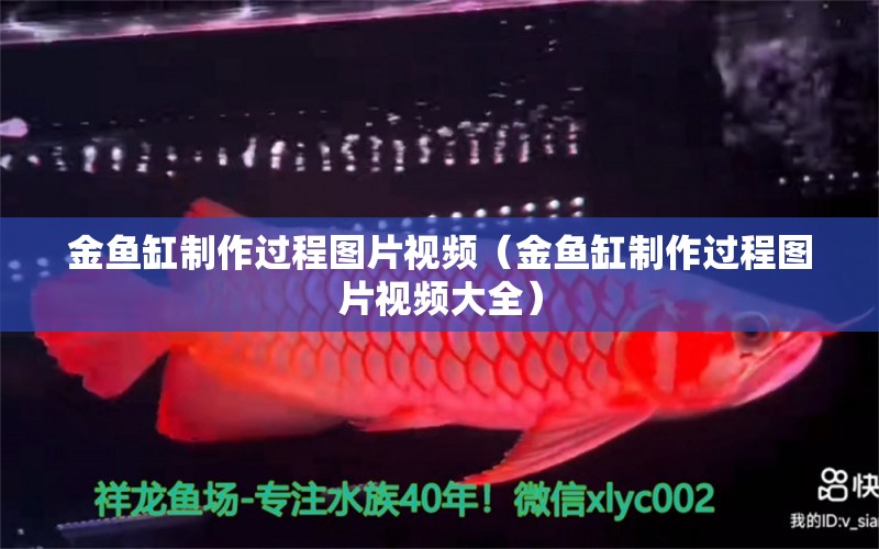 金魚缸制作過程圖片視頻（金魚缸制作過程圖片視頻大全）